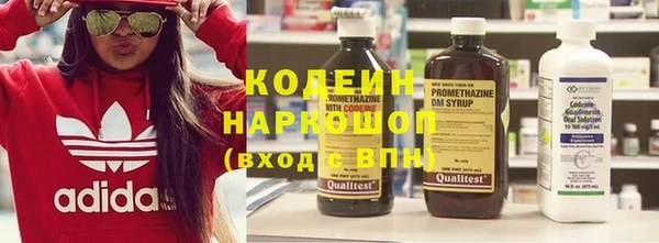 молекула духа Ельня