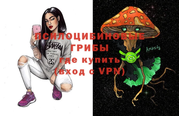 трава Ессентукская