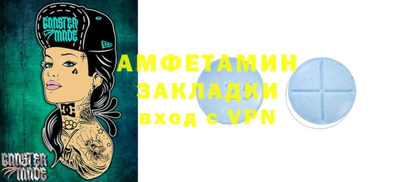 молекула духа Ельня