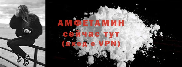 молекула духа Ельня