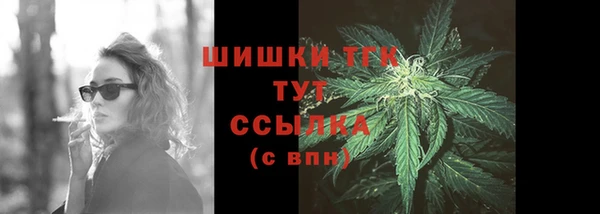 молекула духа Ельня