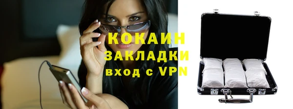 молекула духа Ельня