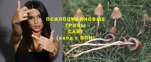 молекула духа Ельня