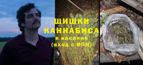 ПСИЛОЦИБИНОВЫЕ ГРИБЫ Елизово