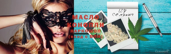 молекула духа Ельня