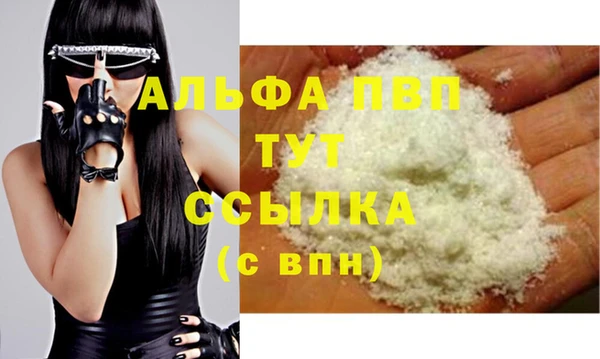 молекула духа Ельня