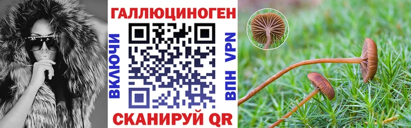omg вход  наркотики  Заозёрск  Галлюциногенные грибы мухоморы 