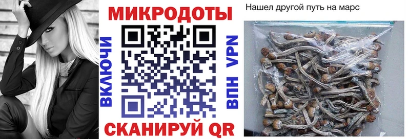 Псилоцибиновые грибы Cubensis Заозёрск